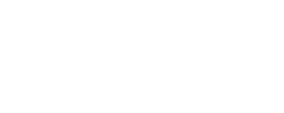 La foresta degli scomparsi